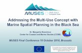 Addressing the Multi-Use Concept with Marine Spatial ...