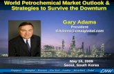 World Petrochemical Market Outlook & Strategies to Survive ...