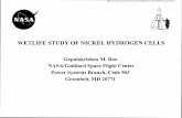 WETLIFE STUDY OF NICKEL HYDROGEN CELLS