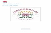 Caringbah Public School 2019 Annual Report