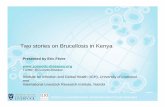 Two stories brucellosis Kenya.ppt