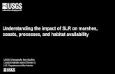 Understanding the impact of SLR on marshes, coasts ...