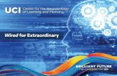 Wired for Extraordinary