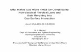 What Makes Gas Micro Flows So Complicated: Non-classical