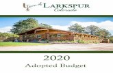 2020 - Larkspur CO