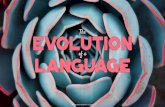The Evolution of a Language