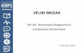 VELIKI MOZAK - iceps.edu.rs