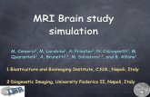 MRI Brain study simulation - CNR