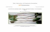 The University of Tennessee Extension