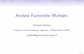 Analyse Factorielle Multiple - GitHub Pages