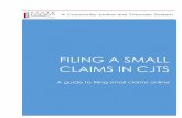FILING A SMALL CLAIMS IN CJTS - State Courts