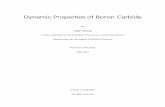 Dynamic Properties of Boron Carbide