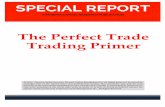 The Perfect Trade Trading Primer
