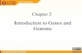 Introduction to Genes and Genome