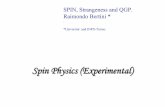 Spin Physics (Experimental)