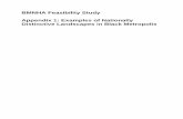 BMNHA Feasibility Study Appendix 1: Examples of Nationally ...