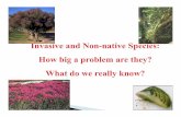 Invasive and Non-native Species: How big a problem are ...
