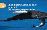 01 U7A Ecosystems 12/14/06 3:53 PM Page 2