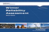 Winter Reliability Assessment - FRCC