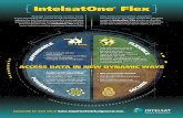 IGC IntelSatOneFlex Infographic F 090817