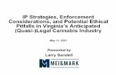 IP Strategies, Enforcement Considerations, and Potential ...