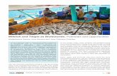 Milkfish and Tilapia as Biofactories: Potentials and