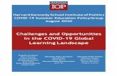 Challenges and Opportunities in the COVID-19 Global ...