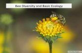 Bee Diversity and Basic Ecology
