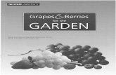 Grapes& Berries - NCSU