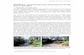 APPENDIX E: Environmental Flows Assessment for the Nile ...