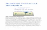 Metabolism of mono and disaccharides