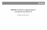 MERIS Cal/Val organization Towards Sentinel 3