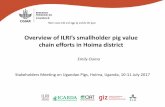 Overview of ILRI’s smallholder pig value chain efforts in ...