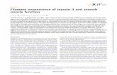 REVIEW Filament evanescence of myosin II and smooth muscle ...