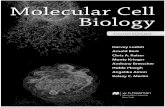 Molecular cell biology - GBV
