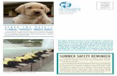 SUMMER SAFETY REMINDER - Guide Dogs of America