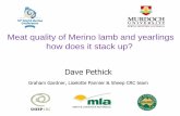 Meat quality of Merino lamb and yearlings how does it ...