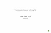 The oviposition behavior in Drosophila
