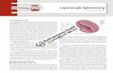 Laparoscopic Splenectomy - laparoscopyhospital.com
