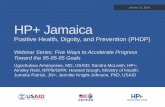 HP+ Jamaica: Positive Health, Dignity, and Prevention (PHDP)