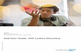 End User Guide: SAP Lumira Discovery