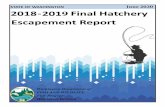 2018-2019 Final Hatchery Escapement Report
