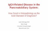 IgG4-Related Disease in the Pancreatobiliary System