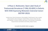 A Phase 2, Multicenter, Open-Label Study of Trastuzumab ...