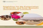 Guidelines for the Enumeration of Nomadic and Semi-Nomadic ...