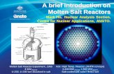 A brief introduction on Molten Salt Reactors