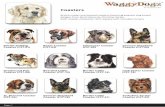 Coasters Catalog PDF -