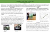 Fertilizer’s Effect on the Brassica rapa