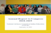 Annual Report to Congress 2018-2019