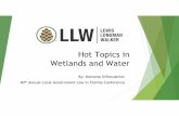 Hot Topics in Wetlands and Water - llw-law.com